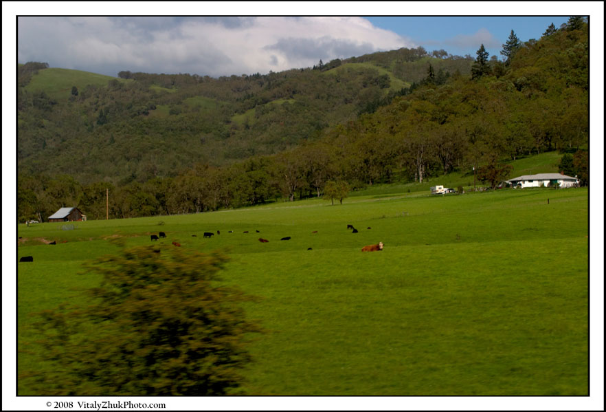 Cross Country Trip 2008 Cali WA Home 115CWX